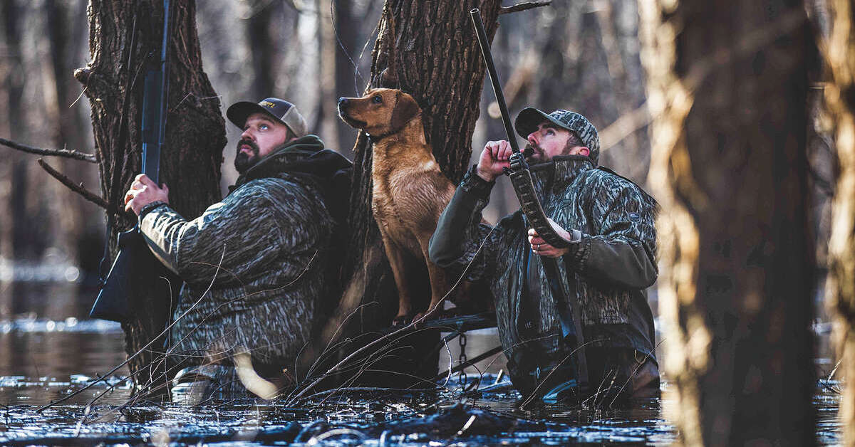Seven NextLevel Tactics for Calling Ducks Ducks Unlimited